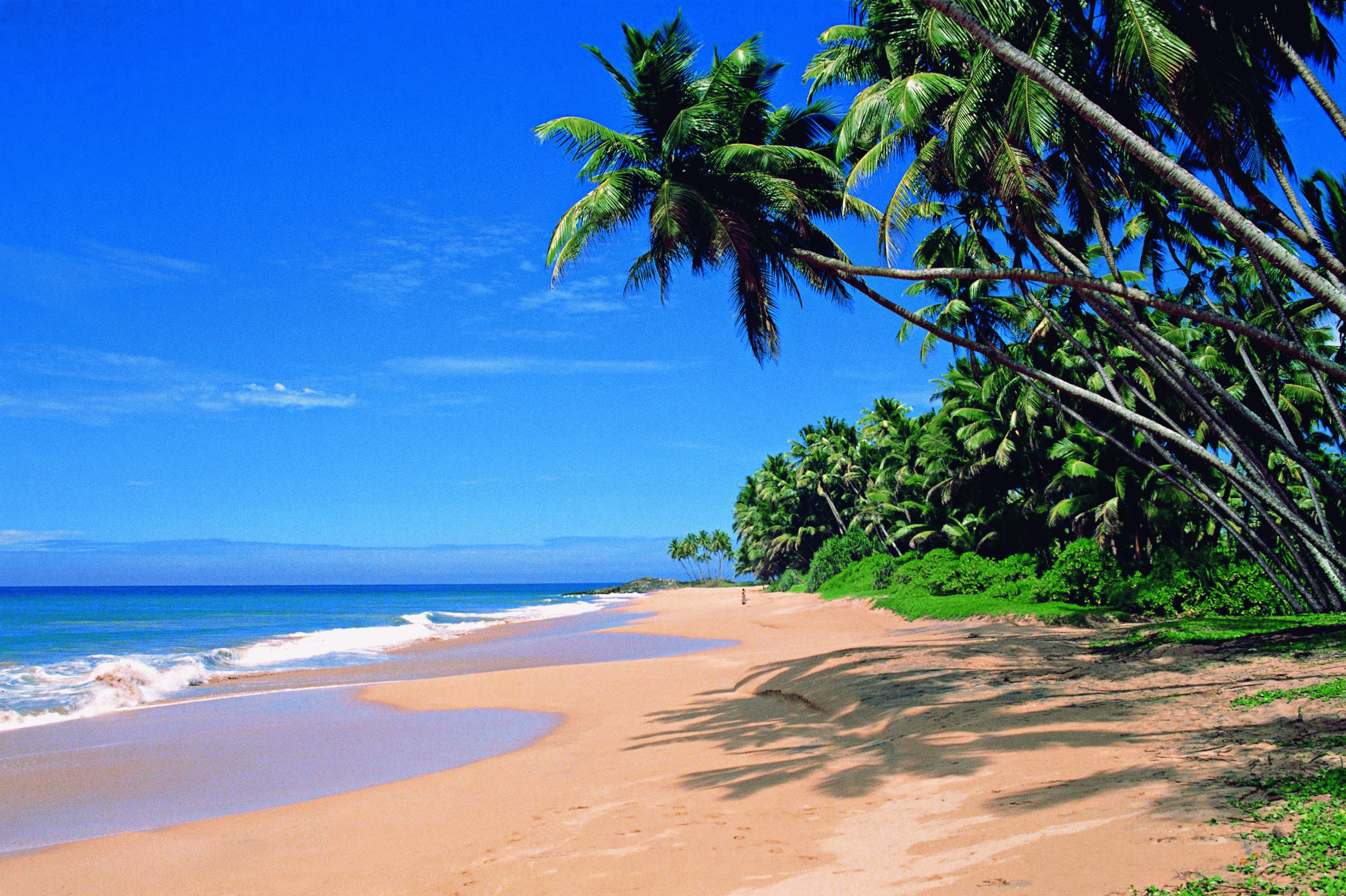Goa Beaches Wonderful Tourists Place In India | Found The World
