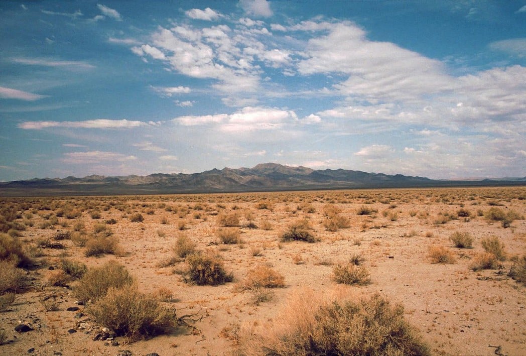 Desert Heat 1999 - IMDb