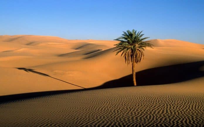 sahara desert, the hottest desert in the world