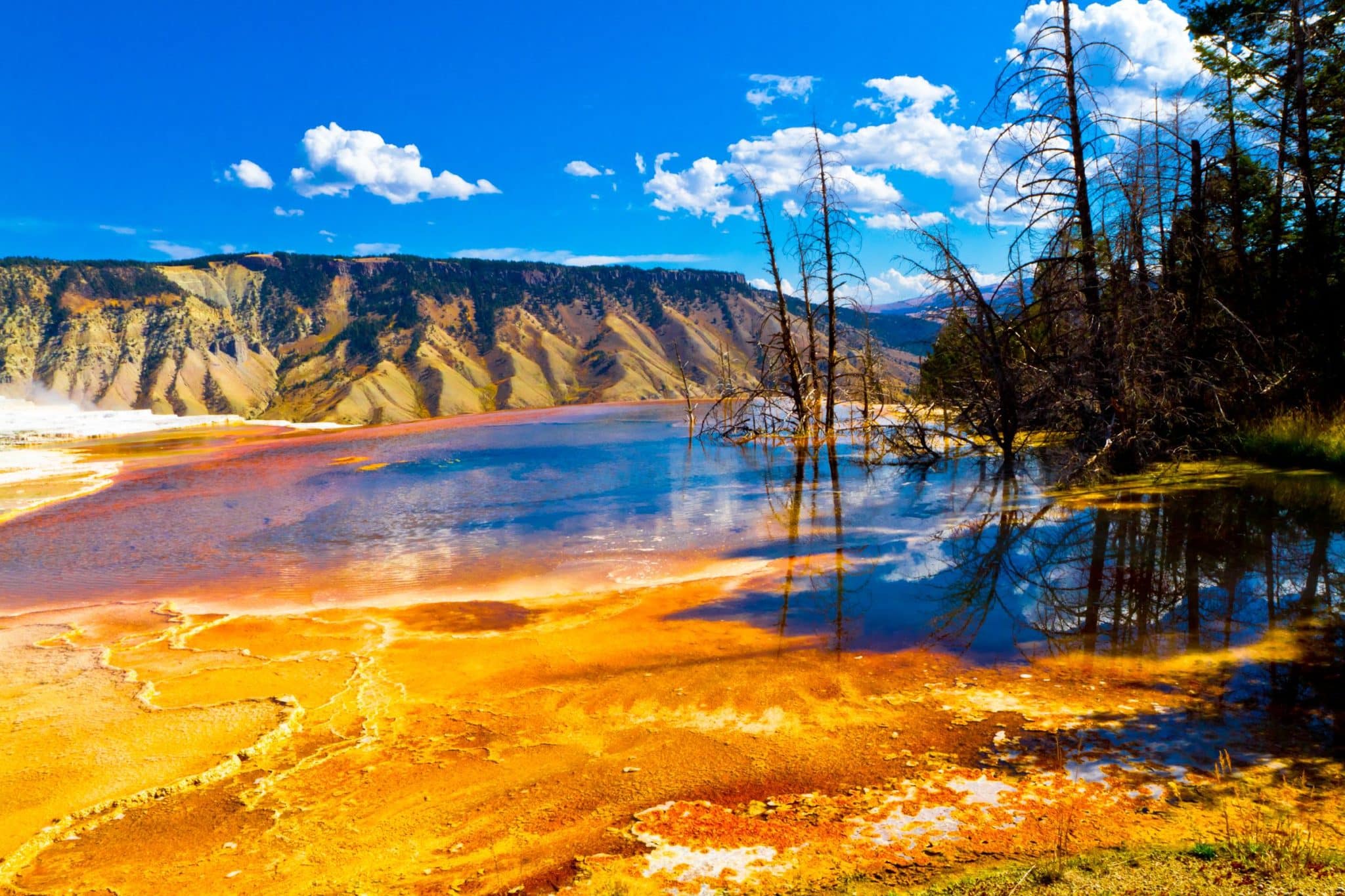 Yellowstone National Park, Wyoming United States | Found ...
