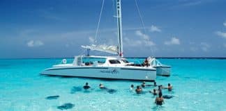 Tourists swimming with sting rays, stingray city, grand cayman, cayman islands, caribbean, central america