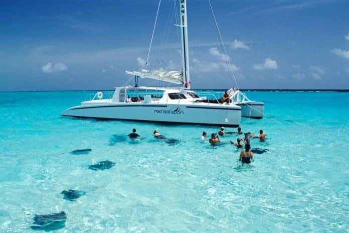 Tourists swimming with sting rays, stingray city, grand cayman, cayman islands, caribbean, central america