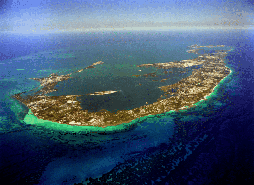 Bermuda (1)