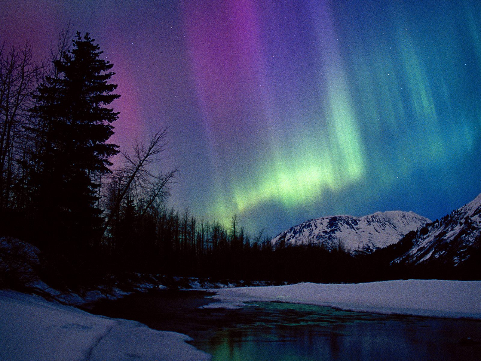 Get Mesmerized with the Northern Lights of Alaska Found The World