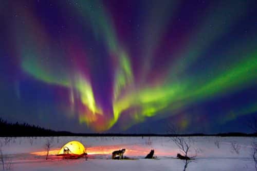 Alaska Northern Lights (4)