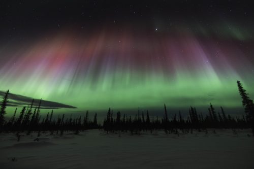 Alaska Northern Lights (8)