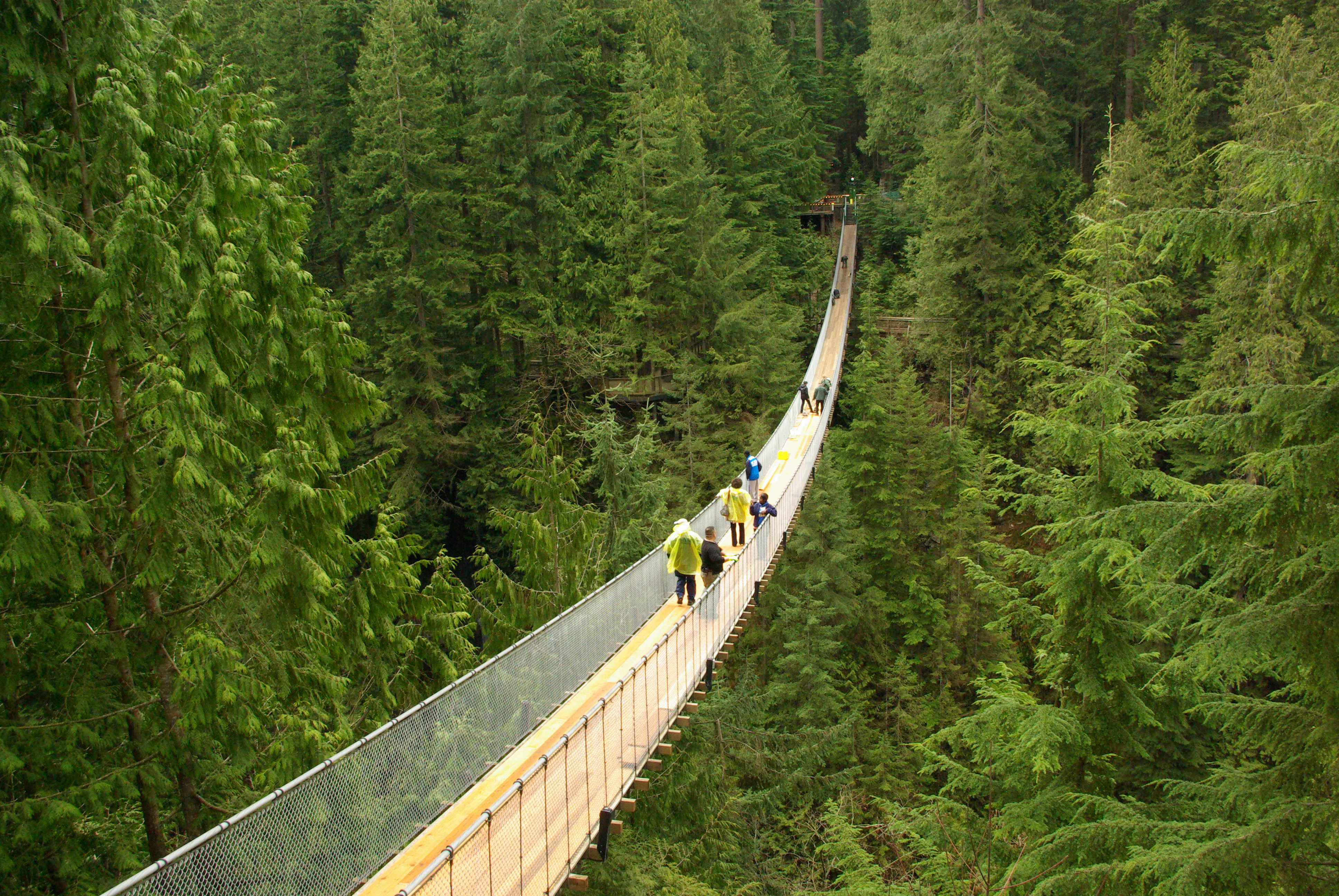 Capilano Suspension Bridge In Vancouver, Canada | Found The World