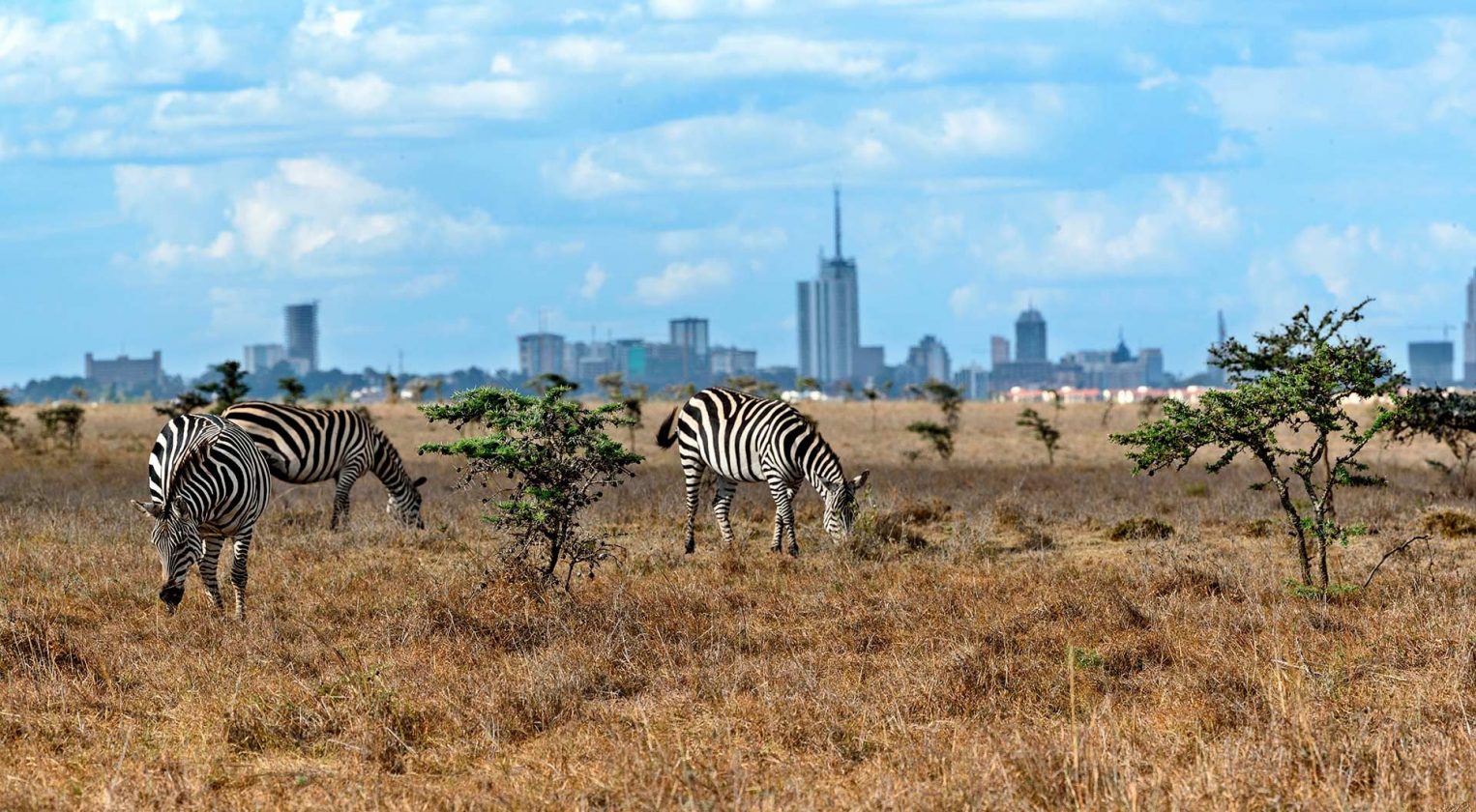 Nairobi Kenya 4 Wonderful Places To Visit Found The World