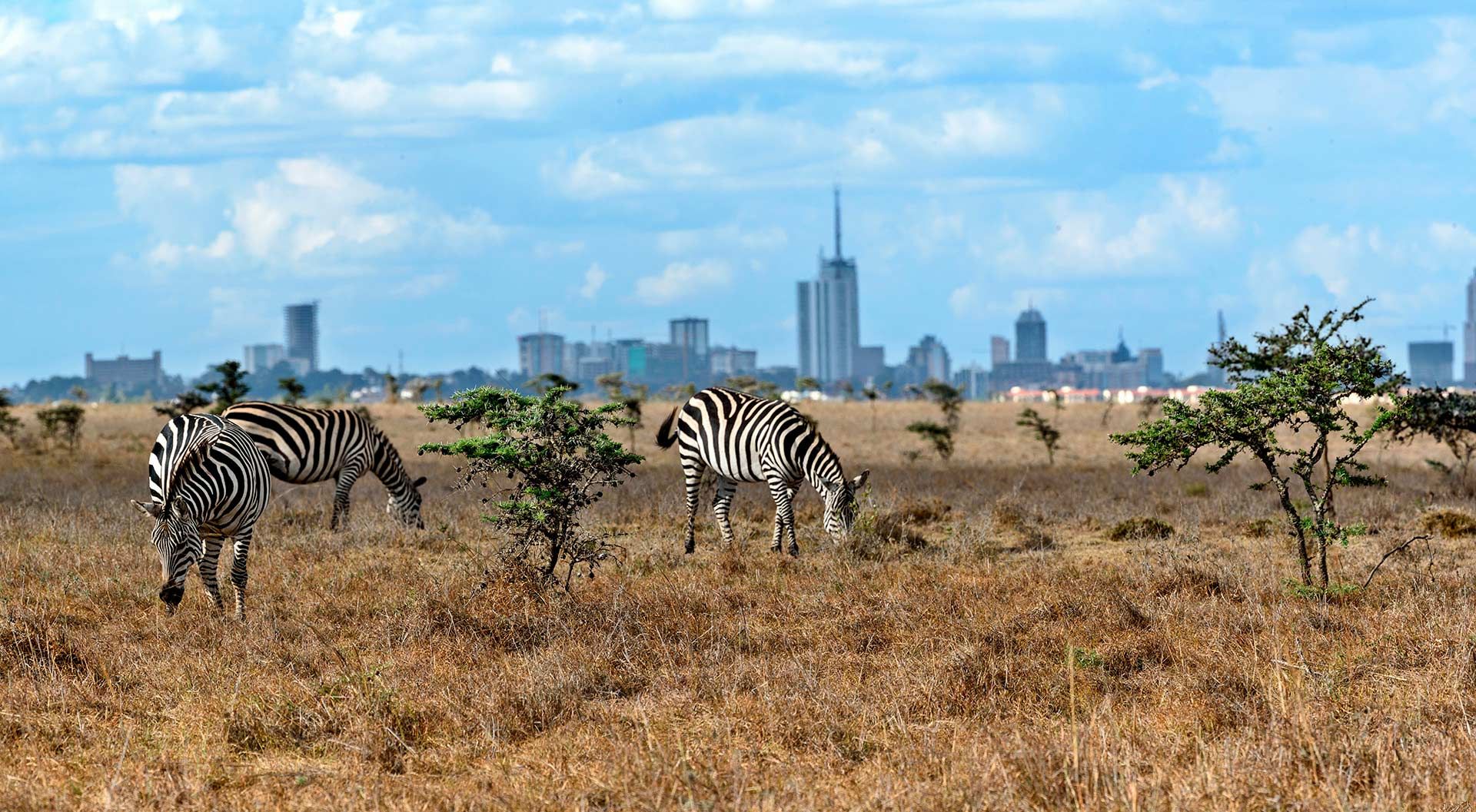 Resultado de imagen de nairobi