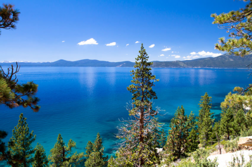 Mysterious creature spotted in depths of Lake Tahoe Lake-Tahoe-1-500x333