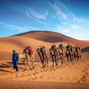 Where IS The Hottest Desert in the World? Sahara Desert