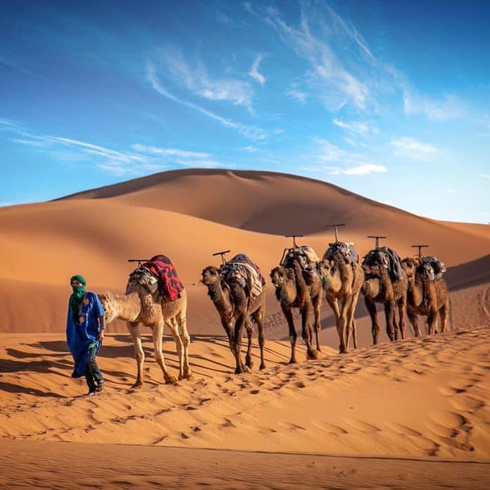 Where IS The Hottest Desert in the World? Sahara Desert