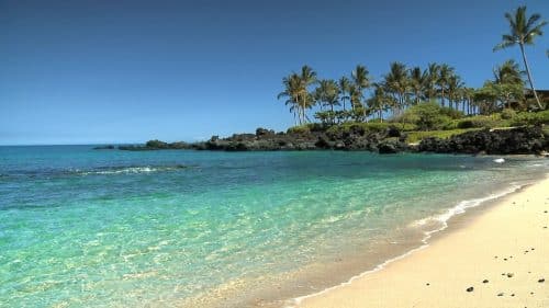 Hawaii Beach View