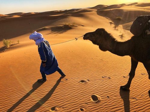 Sahara desert morocco