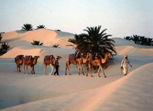 The sahara desert by tunisian border