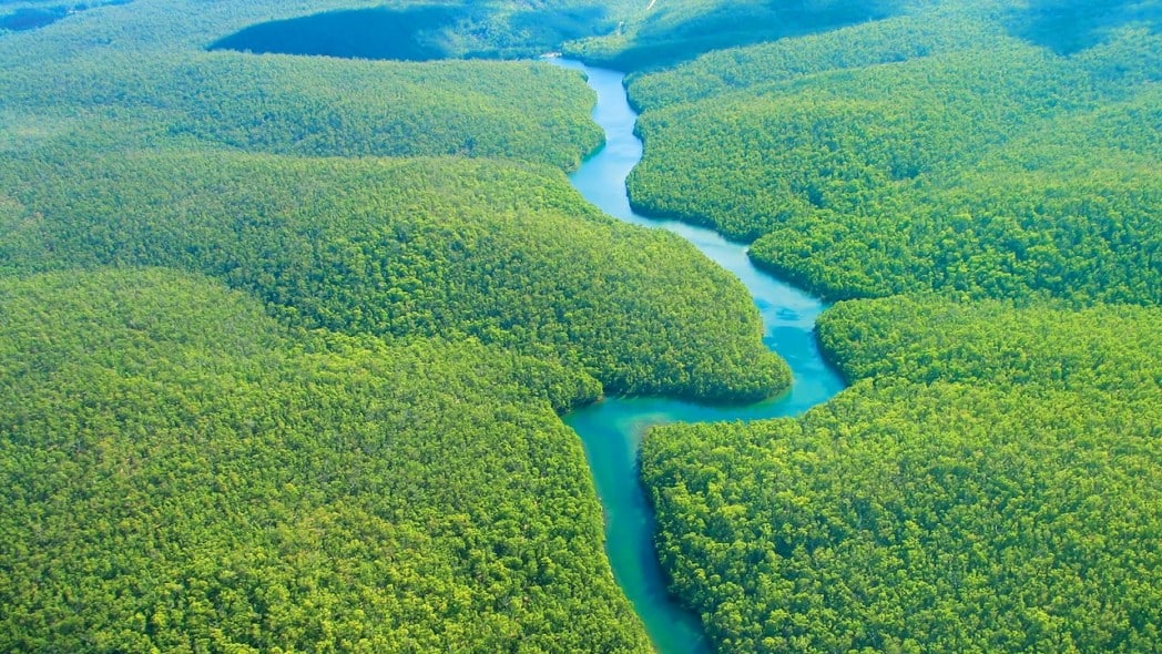 Amazon-Rainforest-2.jpg