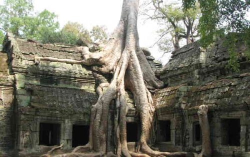  Angkor Wat Temples