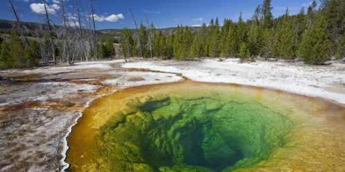 Yellowstone National Park Colorful Pool