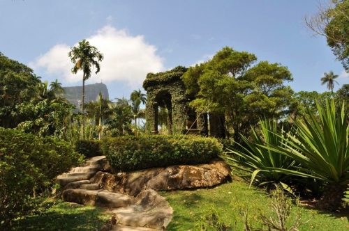 Rio Botanical Gardens