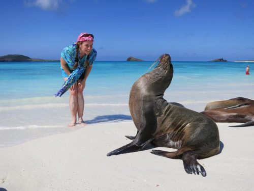 Galapagos islands espanola island gardner bay sea lion