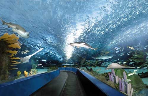 Myrtle Beach Aquarium