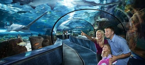 Myrtle Beach Aquarium