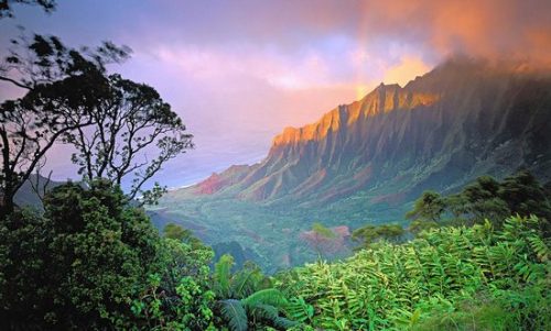 Kauai island hawaii (8)