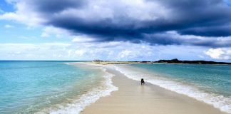 Los roques beach
