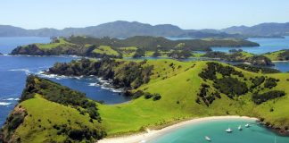 The bay of islands (8)