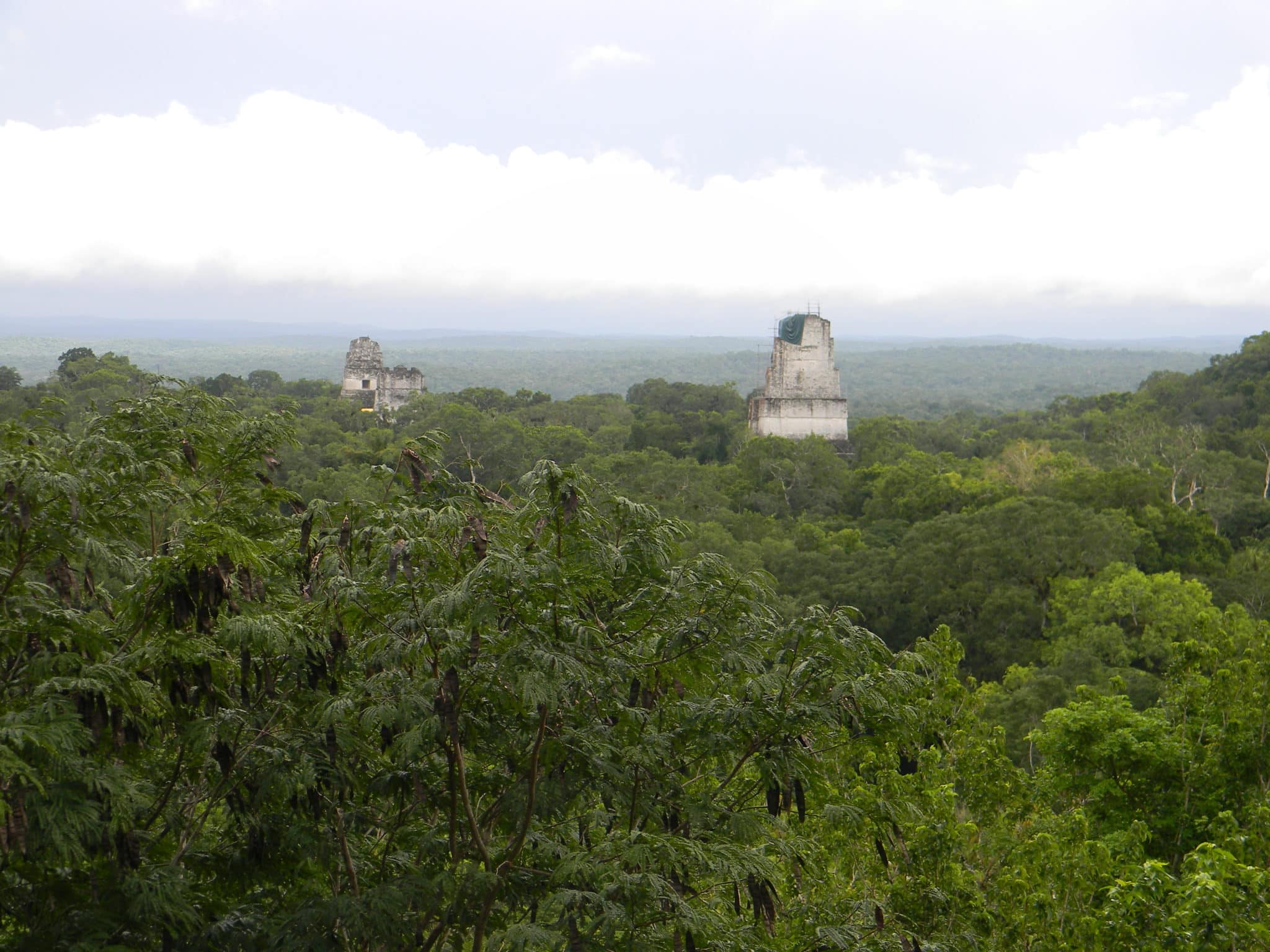 Tikal guatemala