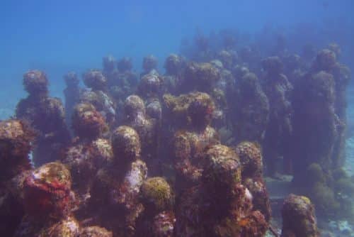 Isla mujeres underwater museum